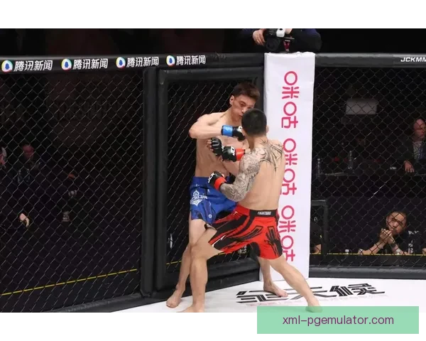 终极搏击：综合格斗专家传授技巧