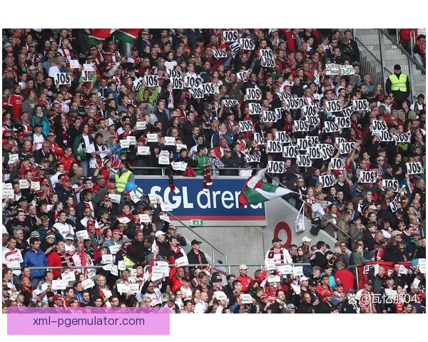 球迷狂欢：体育世界的精彩交流