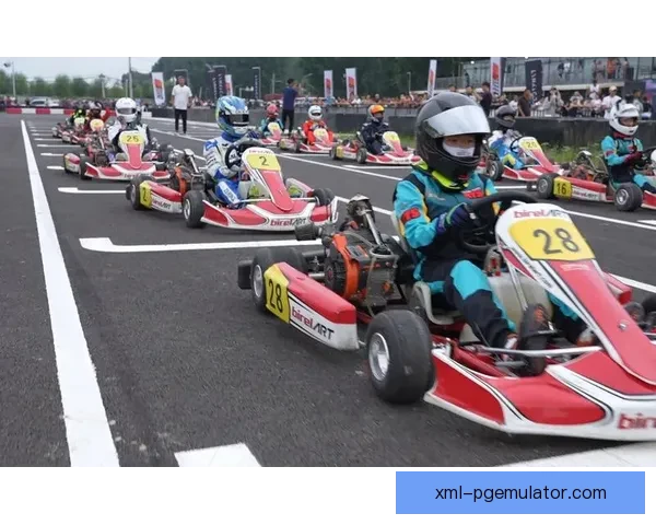 BMX杯赛:极限挑战,速度飞驰 BMX杯赛:极限挑战,速度飞驰