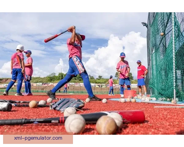 全面解析棒球技巧，助力你成为球场明星