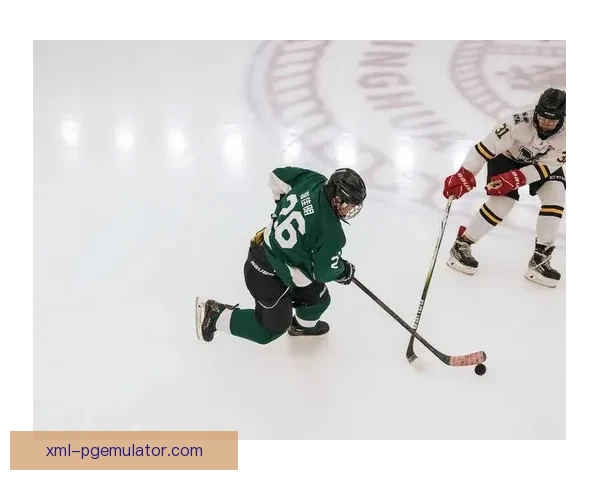 冰球积分榜:榜首之争激烈,乐福克斯与泰华伦斯领跑 冰球积分榜:榜首之争激烈,乐福克斯与泰华伦斯领跑