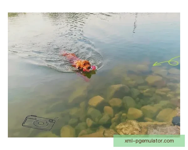 学会轻松游泳:入门教程指南 学会轻松游泳:入门教程指南