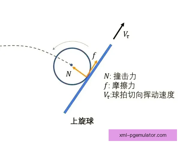 学习乒乓球技巧:从零基础到提升水平完整教学视频 学习乒乓球技巧:从零基础到提升水平完整教学视频