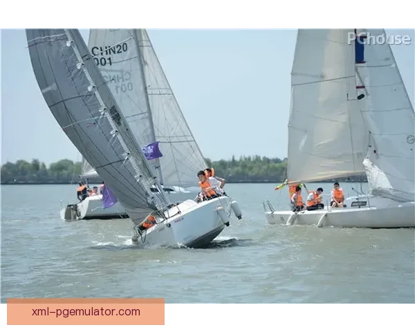 帆船赛事预测：挑战风浪，掌控赛局