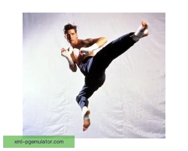 拳击之王：探寻拳击冠军的辉煌与荣耀