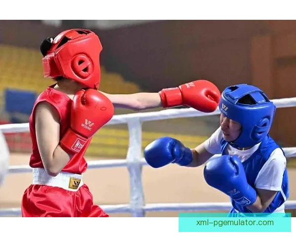 拳击高手的绝密技巧与战术实战解析