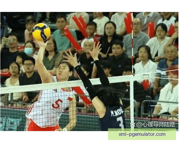 排球巅峰对决：巅峰之战闪耀！