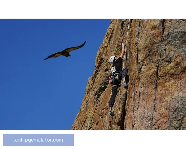 攀岩竞技实时战况一览 攀岩竞技实时战况一览