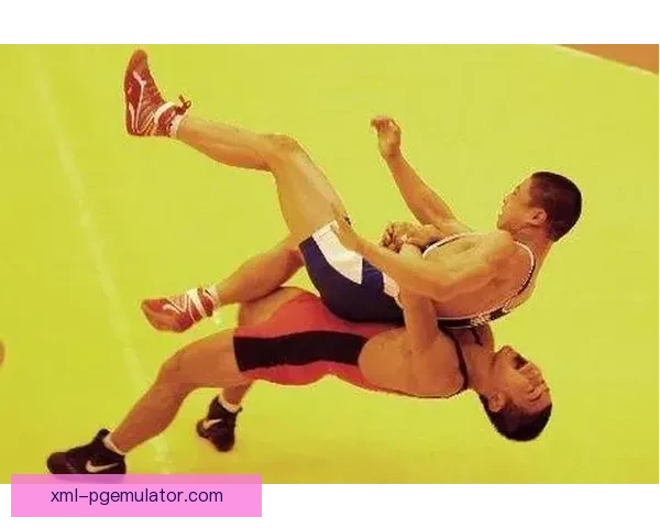 摔跤训练技巧大揭秘：提升实力的有效方法