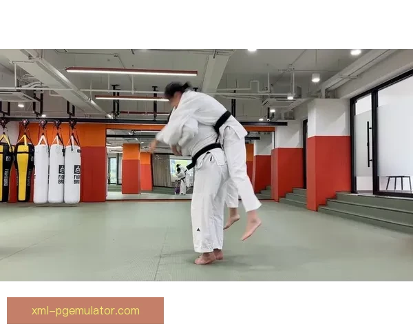 柔道投技精要：技巧解析与实战指南