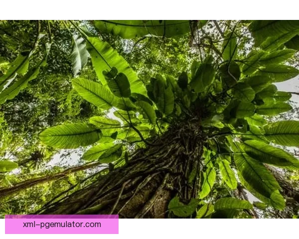 林间徜徉，徒步探索：越野跑全方位训练指导