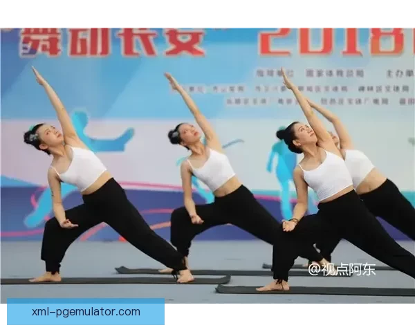 瑜伽比赛大赛：身心灵的融合之旅