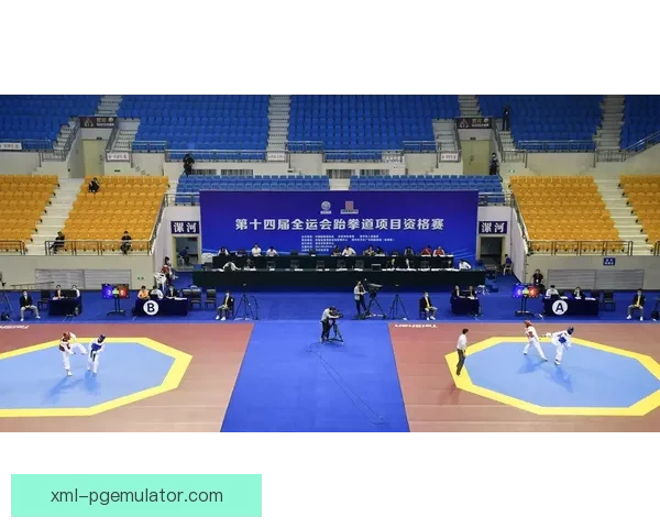 跆拳道锦标赛：冠军之路启航